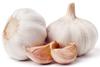 Allium Sativum (Garlic)