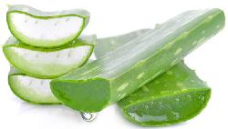 Aloe Vera Extract