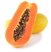 Papain (Papaya enzyme)